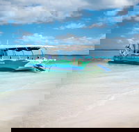 Great Sandy Marine Park Turtle Discovery and Cultural Eco Tour - Accommodation Cooktown