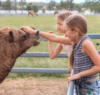 Camel Farm Deluxe Experience - Accommodation Cooktown