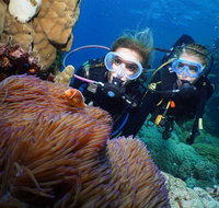 Quicksilver Dive 4 Day PADI Learn to Dive Course