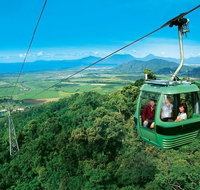 Kuranda Full-Day Small-Group Tour from Port Douglas