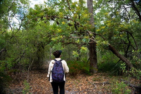 Pack-free Camping: Lake McKenzie Central Hike - 2 Days - Accommodation Cooktown 1
