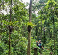 Cape Tribulation and Jungle Surfing Adventure Day from Port Douglas