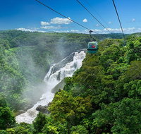 Skyrail Rainforest Cableway Day Trip from Port Douglas