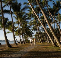 Port Douglas Round-Trip Transfer from Cairns with Free Time in Port Douglas