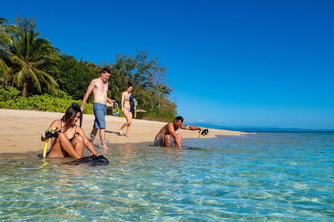 Half Day Low Isles Snorkelling Tour From Port Douglas - Accommodation Cooktown 0