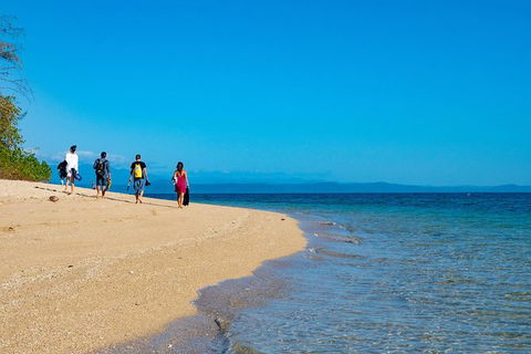 Half Day Low Isles Snorkelling Tour From Port Douglas - Accommodation Cooktown 3