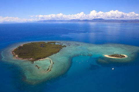 Half Day Low Isles Snorkelling Tour From Port Douglas - Accommodation Cooktown 4