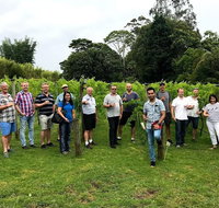 Full Day Mount Tamborine Winery Tour from Brisbane - Accommodation Cooktown