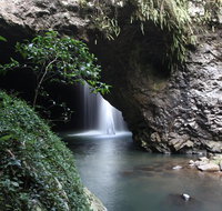 Small-Group 4WD Springbrook National Park Day Trip from Brisbane - Accommodation Cooktown