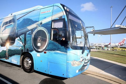 Adult Return Airport Transfer Whitsunday Coast Airport To Airlie Beach - Accommodation Cooktown 1