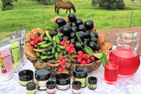 Atherton Tablelands Small-Group Food & Wine Tasting Tour From Port Douglas - Accommodation Cooktown 12