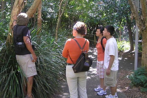 Boomerang Aboriginal Cultural Tours - Accommodation Cooktown 0