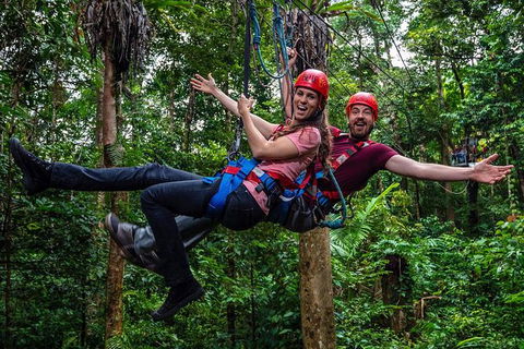 Daintree Atttractions Pass: The Best Of The Daintree In A Day - Accommodation Cooktown 1