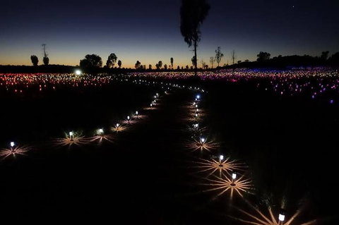 Uluru Field Of Light Sunrise Tour - Accommodation Cooktown 2