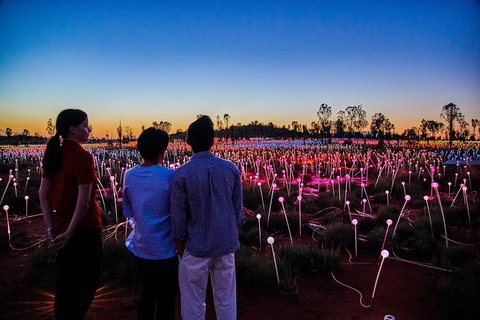 Uluru Field Of Light Sunrise Tour - Accommodation Cooktown 5