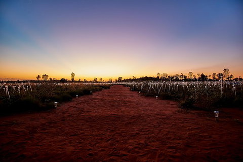 Uluru Field Of Light Sunrise Tour - Accommodation Cooktown 14