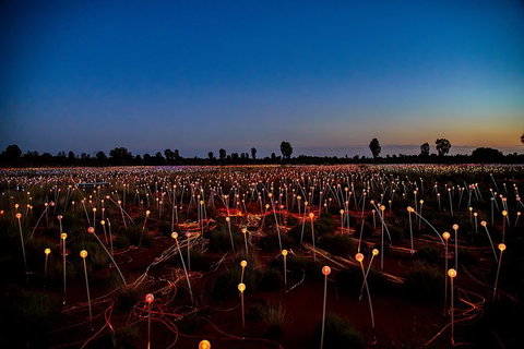 Uluru Field Of Light Sunrise Tour - Accommodation Cooktown 7