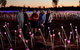 Uluru Field Of Light Sunrise Tour - thumb 10