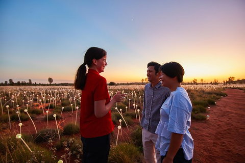 Uluru Field Of Light Sunrise Tour - Accommodation Cooktown 9
