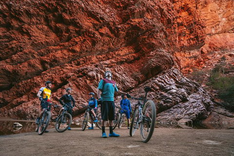 Alice Springs Outback Cycling Tours - Accommodation Cooktown 1