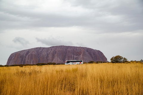 Alice Springs To Uluru (Ayers Rock) One Way Shuttle - Accommodation Cooktown 3