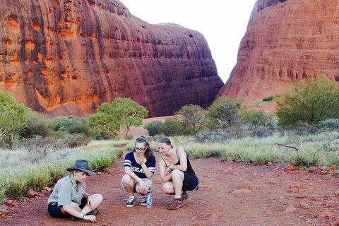 Afternoon Kata Tjuta Small Group Tour - Accommodation Cooktown 7