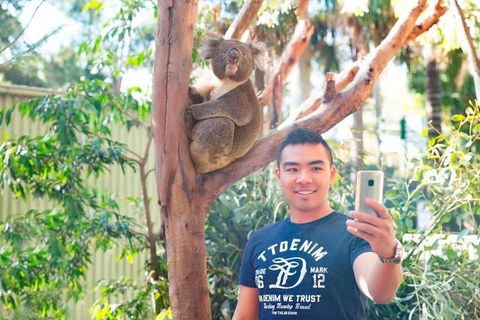 All Inclusive Full-Day Blue Mountains Trip From Sydney - Accommodation Cooktown 1