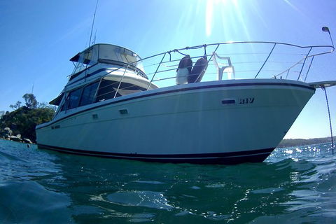 Big Day Out On Sydney Harbour For Small Groups - Accommodation Cooktown 4