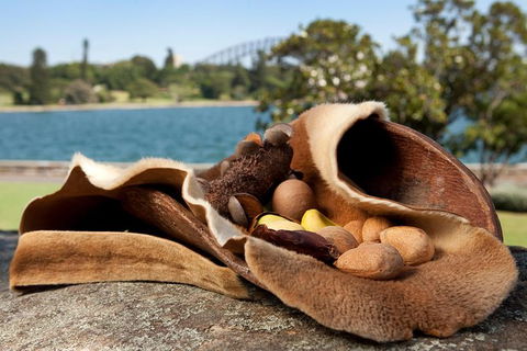 Aboriginal Heritage Tour At The Royal Botanic Garden Sydney - Accommodation Cooktown 7