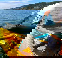 Byron Bay Combo Hinterland Tour Including Minyon Falls and Kayaking with Dolphins - Accommodation Cooktown