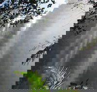 Minyon Falls Rainforest Walk - Accommodation Cooktown