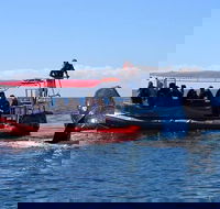 Byron Bay Whale Watching Cruise - Accommodation Cooktown