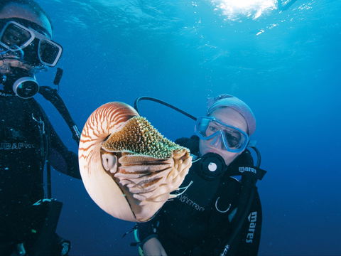 Agincourt Reef - Accommodation Cooktown 1