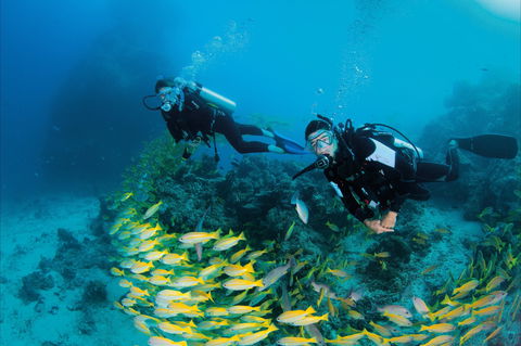 Agincourt Reef - Accommodation Cooktown 2