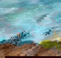 Birdwatching on the Fraser Coast - Accommodation Cooktown