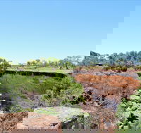 Bladensburg National Park - Accommodation Cooktown