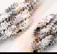 Canberra Museum and Gallery - Accommodation Cooktown