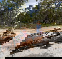 Crooked Brook Forest - Accommodation Cooktown