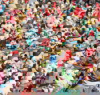 Gnomesville - Accommodation Cooktown