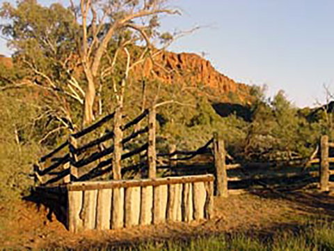 Illamurta Springs Conservation Reserve - Accommodation Cooktown 0