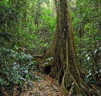 Iluka Nature Reserve - Accommodation Cooktown