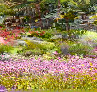 Jurassic Garden AR Experience