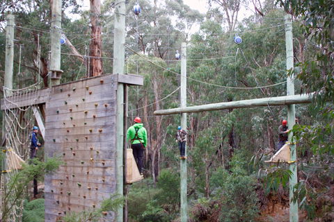 Kinglake Forest Adventures - Accommodation Cooktown 1