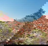 Lark Quarry Conservation Park - Accommodation Cooktown