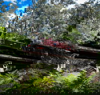 Puffing Billy Railway - Accommodation Cooktown
