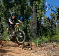 Scorpion Trail Kalamunda Mountain Bike Trails - Accommodation Cooktown