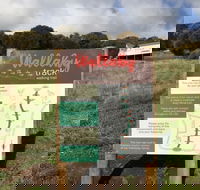 The Wallaby Track - Accommodation Cooktown