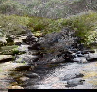 Thredbo River Track - Accommodation Cooktown