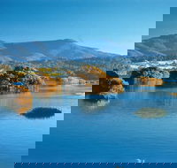 Wagonga Picnic Area - Accommodation Cooktown