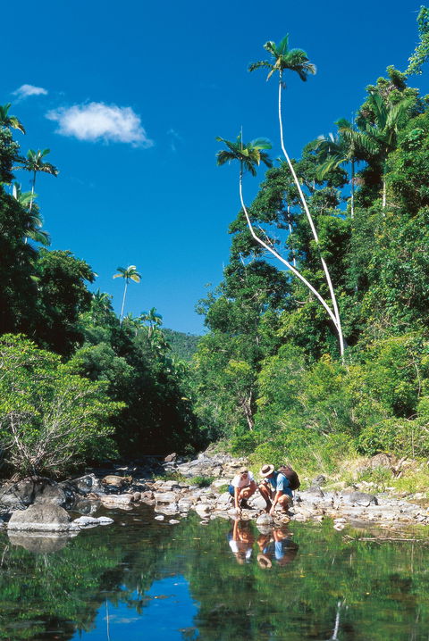 Airlie Beach To Cedar Creek Falls - Accommodation Cooktown 1